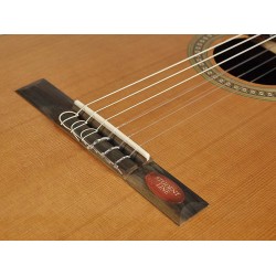 Klasiskā ģitāra Salvador Cortez CC-10