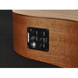 Elektro-akustiskā ģitāra Richwood D-50-CE