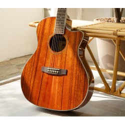 Elektro-akustiskā ģitāra Cort GA-DAO NAT