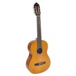 Klasiskā ģitāra Valencia VC204