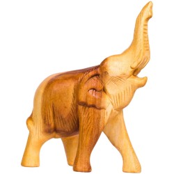 Svilpe - zilonis Afroton AEL003