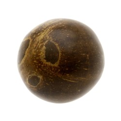 Kokosrieksta šeikeris CR-09