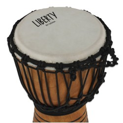 Džamba Gewa LS831000