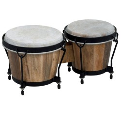 Bongo Gewa Club Salsa