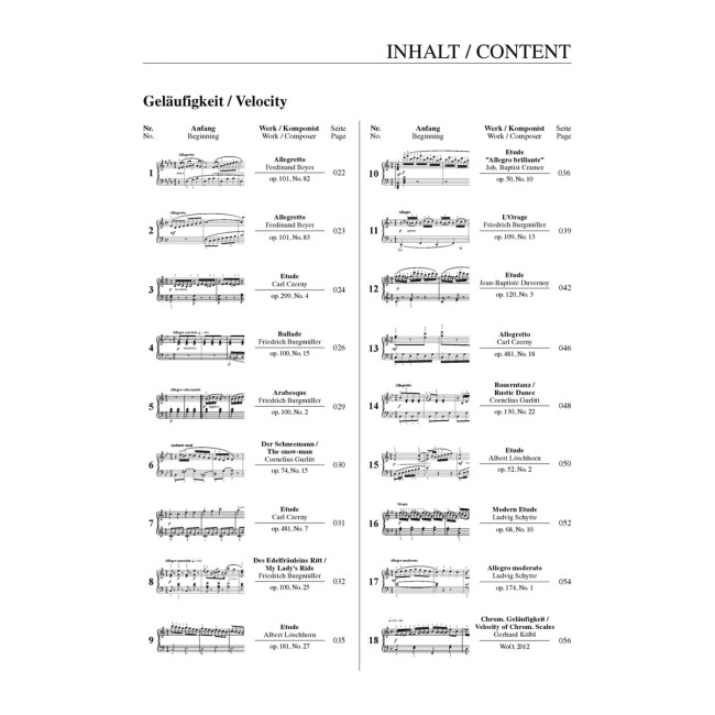 The 100 most essential etudes for piano (Klavieres)