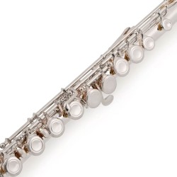 Flauta Trevor James 5x 3005EW