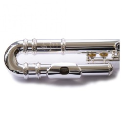 Flauta Trevor James 10x 3042CD EASLRW