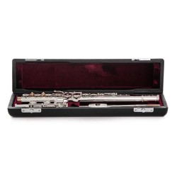 Flauta Trevor James 10x 3042EA SLRW