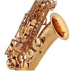 Alta saksofons Trevor James Horn