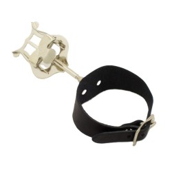 Flautas lira APM 510N